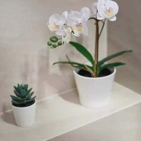 Siedmiogrodzka Prime Apartamento *
